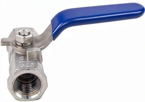 Stainless Steel Ball Valve DERNORD 1/4" NPT Port with Male Hex Nipple-3
